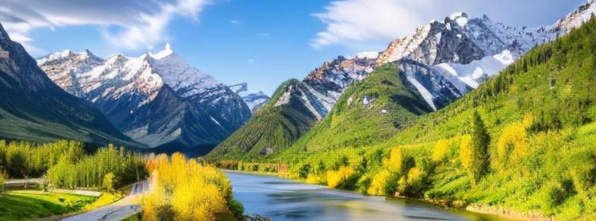 烟台花为媒鲜花有限公司轮播图1